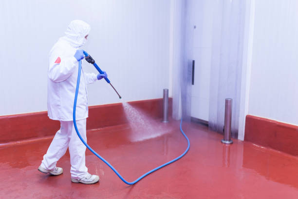 Best Fleet Vehicle Washing  in Swedesboro, NJ